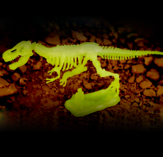 Sada pro malé archeology – Tyranosaurus Rex