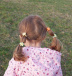 Dětské gumičky do vlasů - kytičky