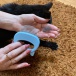 Masážní a vyčesávací kartáč pro kočky